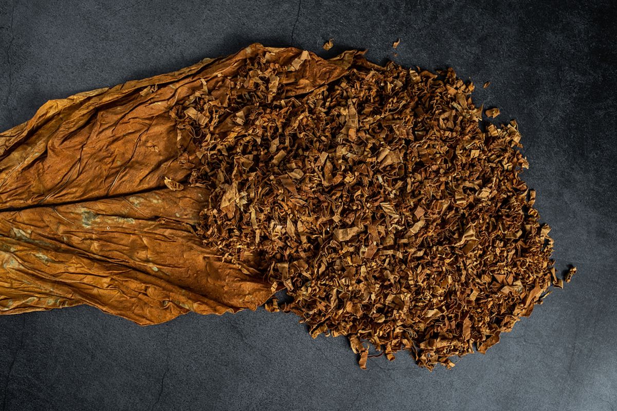 Nikotin dalam Rokok