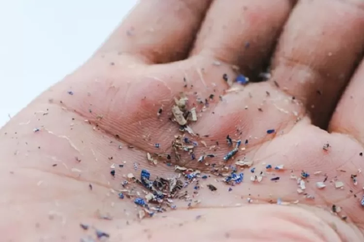 Mikroplastik